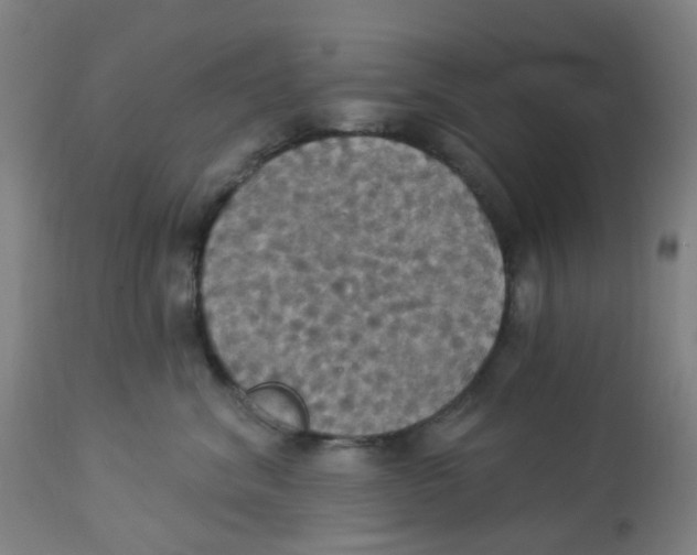 X0000113230620200910081407