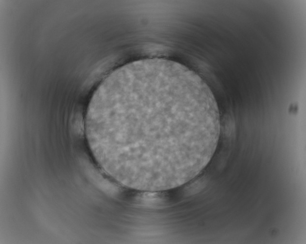 X0000113230622200910081407