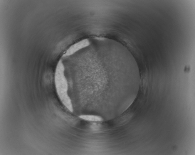 X0000113230623200910081407