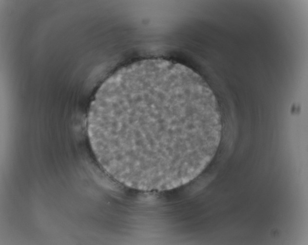 X0000113230624200910081407