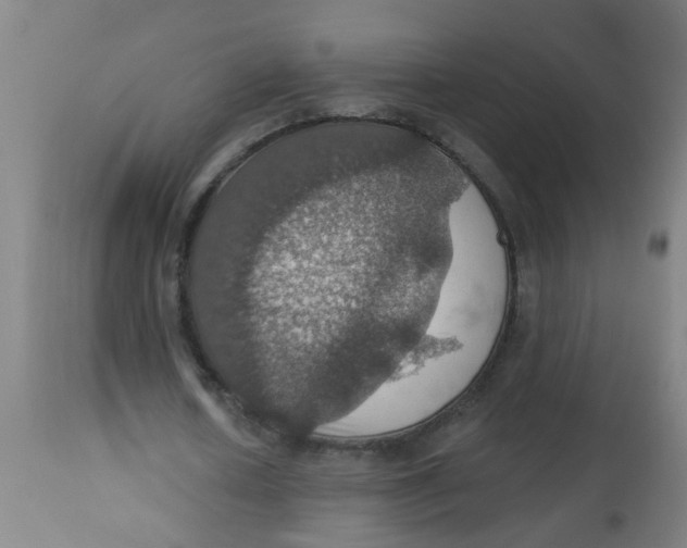 X0000113230626200910081406