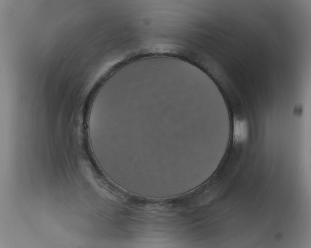 X0000113230627200910081406