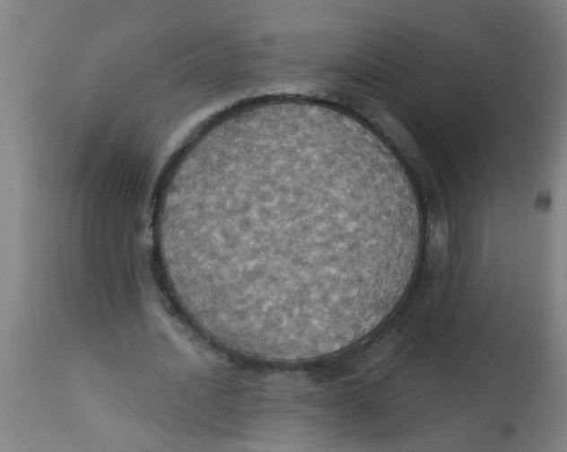 X0000113230628200910081406