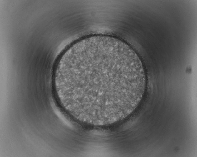 X0000113230630200910081406