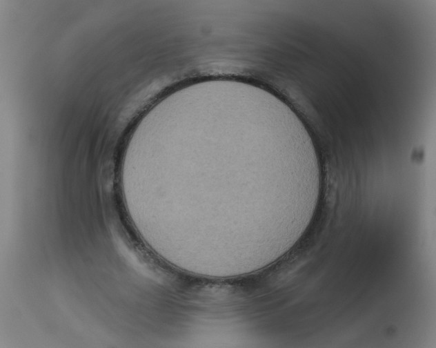 X0000113230631200910081406