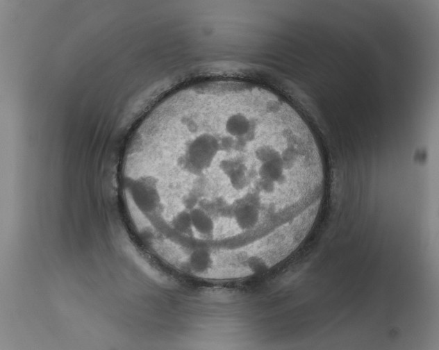 X0000113230633200910081406