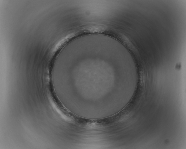 X0000113230634200910081406