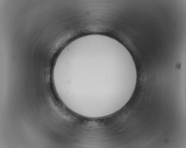 X0000113230635200910081407