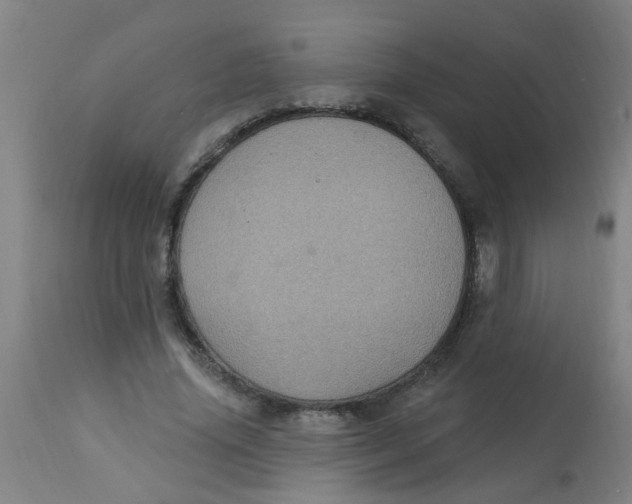 X0000113230636200910081407