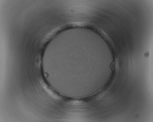 X0000113230637200910081407