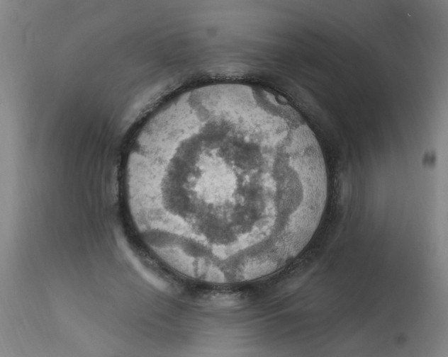 X0000113230638200910081407