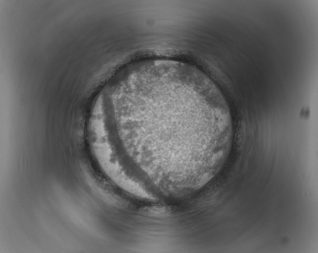 X0000113230639200910081407