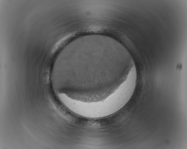 X0000113230640200910081407