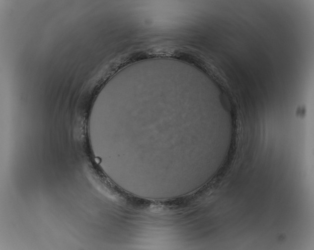 X0000113230641200910081407