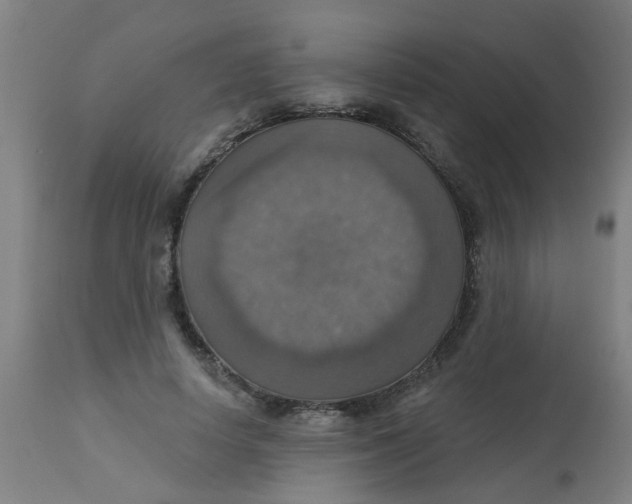 X0000113230642200910081407