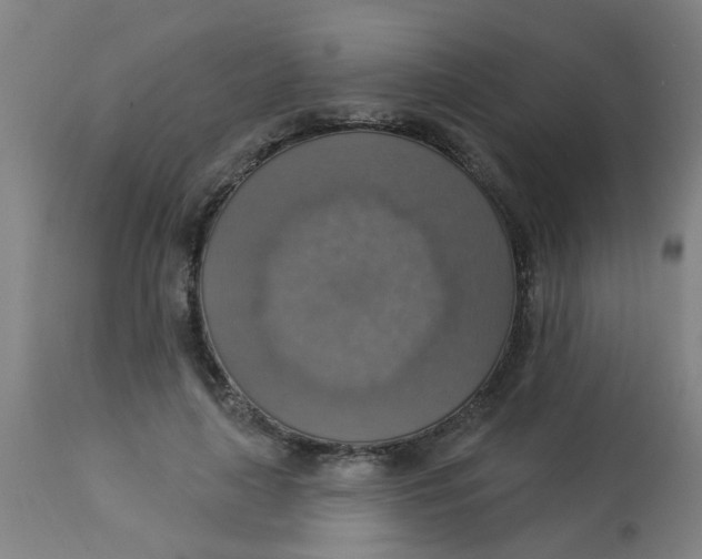 X0000113230643200910081407