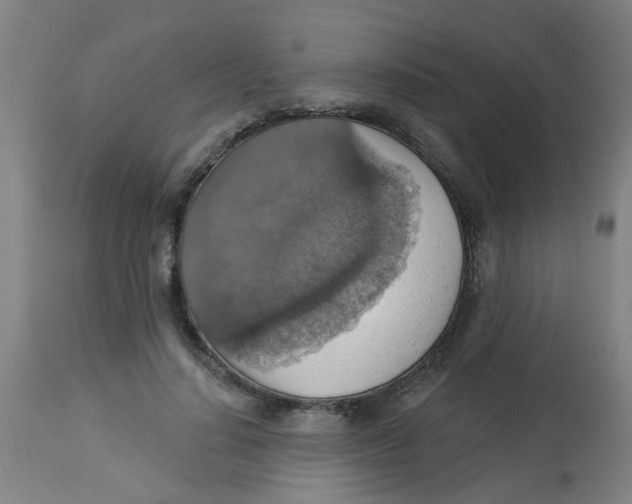 X0000113230644200910081407