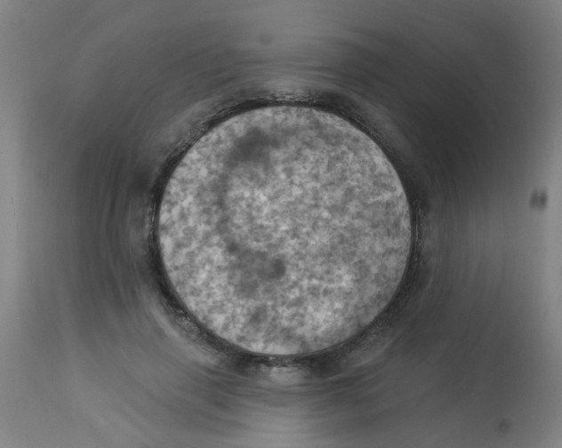 X0000113230645200910081407