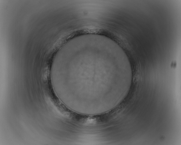 X0000113230647200910081407