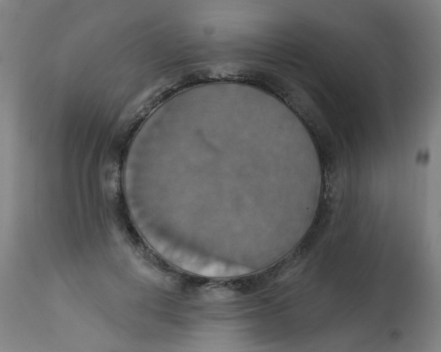 X0000113230648200910081407