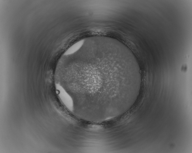 X0000113230649200910081407