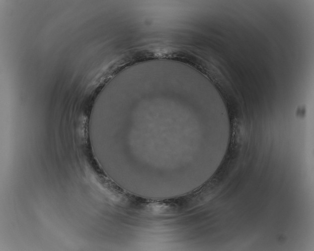 X0000113230650200910081407