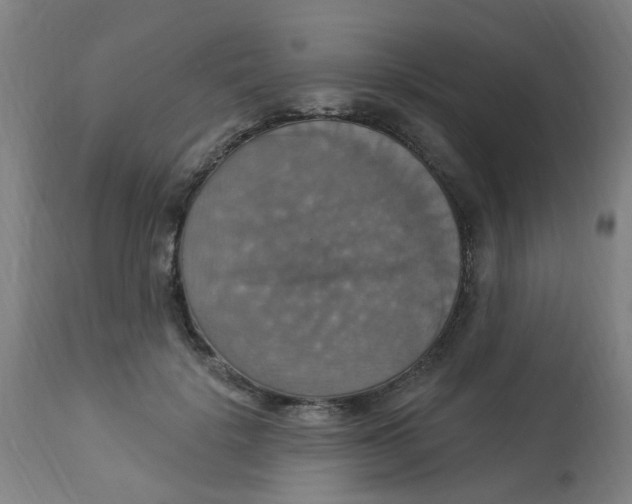 X0000113230652200910081407