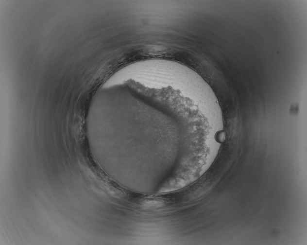 X0000113230653200910081407