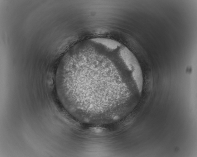 X0000113230654200910081407