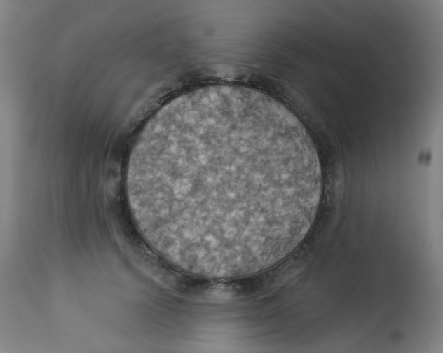 X0000113230656200910081407