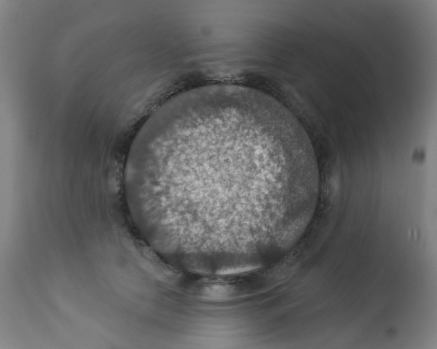 X0000113230658200910081407