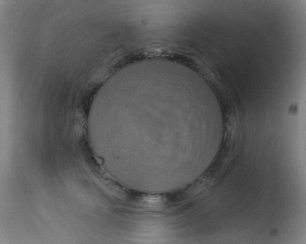 X0000113230659200910081407