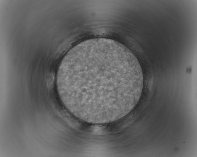 X0000113230660200910081407