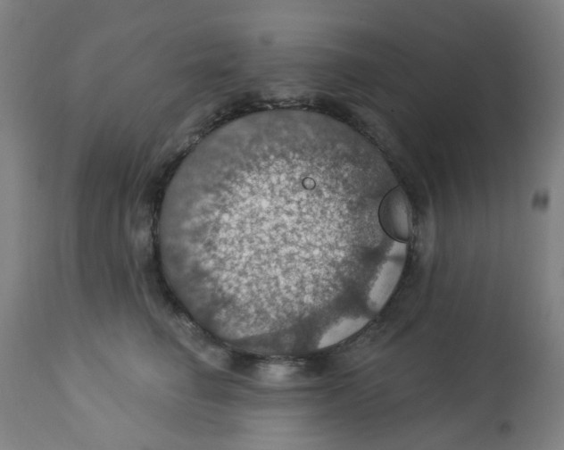 X0000113230662200910081407