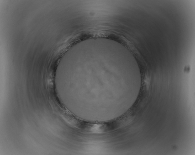 X0000113230663200910081407