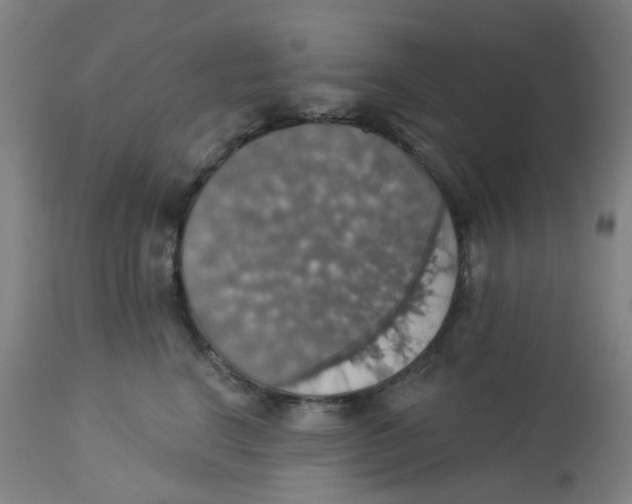 X0000113230664200910081407