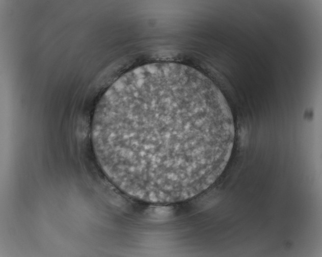 X0000113230665200910081407