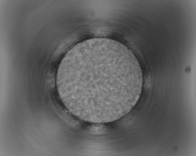 X0000113230666200910081407