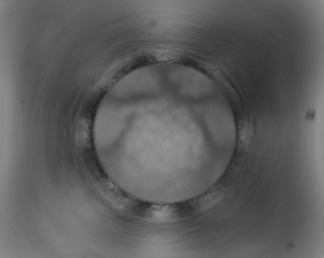 X0000113230667200910081407