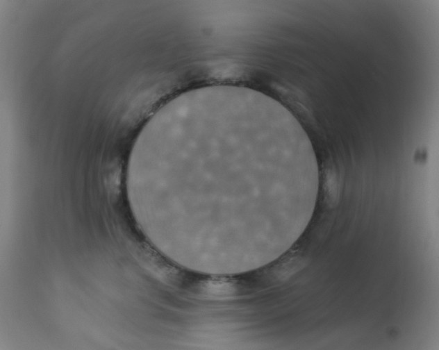 X0000113230668200910081407