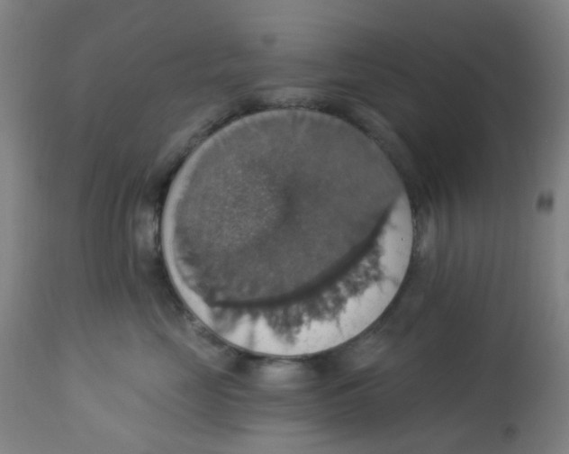 X0000113230669200910081407