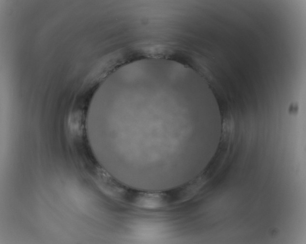 X0000113230671200910081407