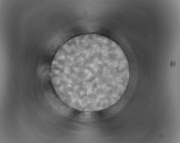 X0000113230672200910081407