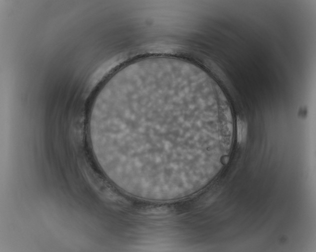 X0000113230675200910081406