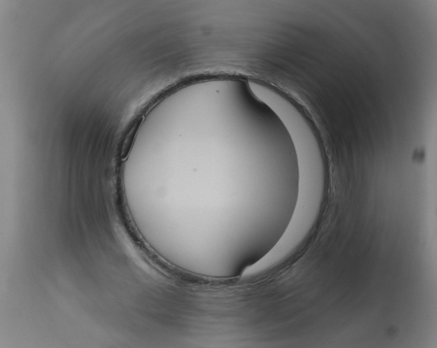 X0000113230677200910081406