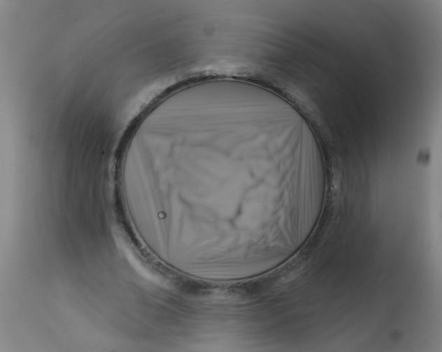 X0000113230678200910081406