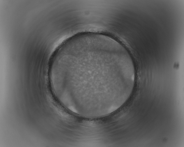 X0000113230679200910081406