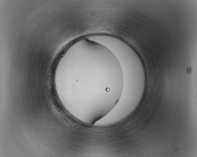 X0000113230680200910081406