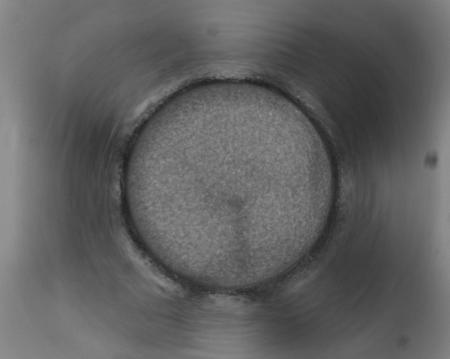 X0000113230681200910081406