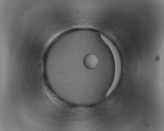 X0000113230684200910081406